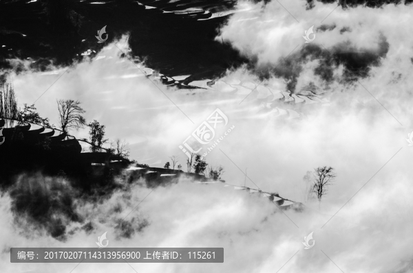 梯田水墨多依樹(shù)