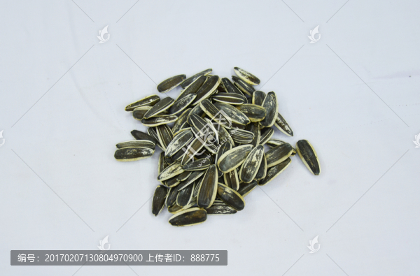 休閑食品葵花籽圖片