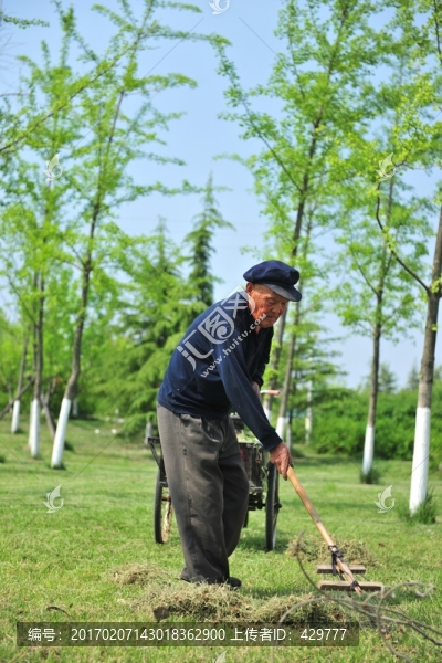 草坪護(hù)理,,園藝