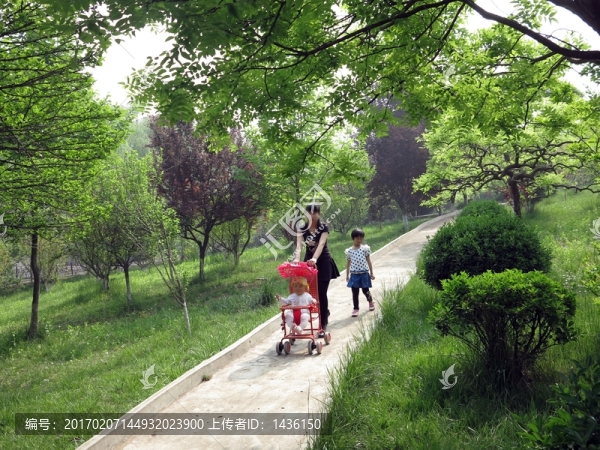 公園游玩