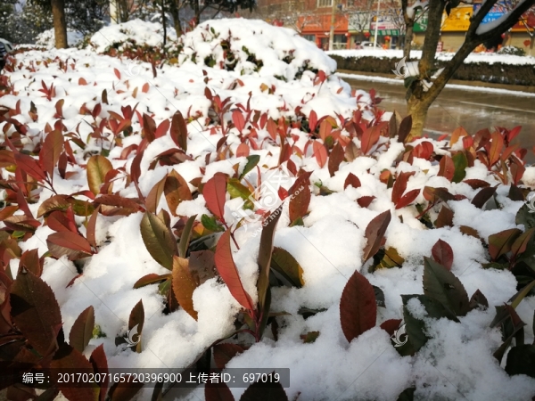瑞雪兆豐年