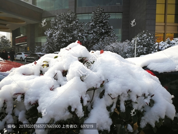 瑞雪兆豐年
