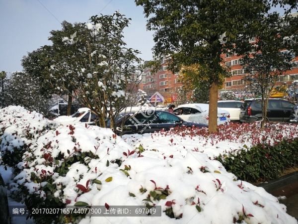 瑞雪兆豐年