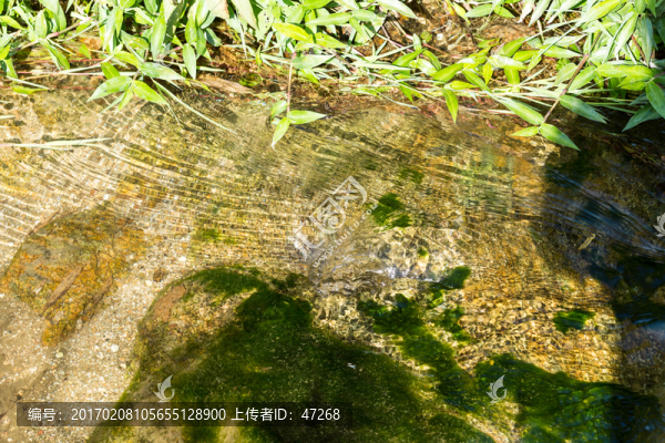 溪水,小溪,山川,水草