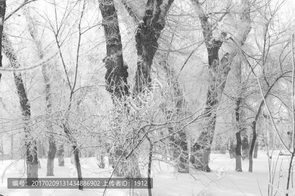 雪韻