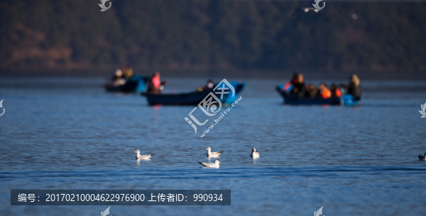 瀘枯湖,人與鳥