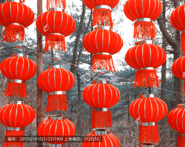 紅燈籠