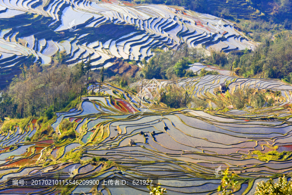 元陽梯田