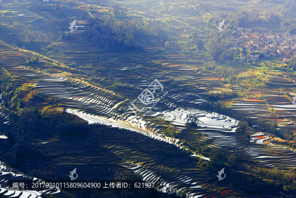 元陽梯田