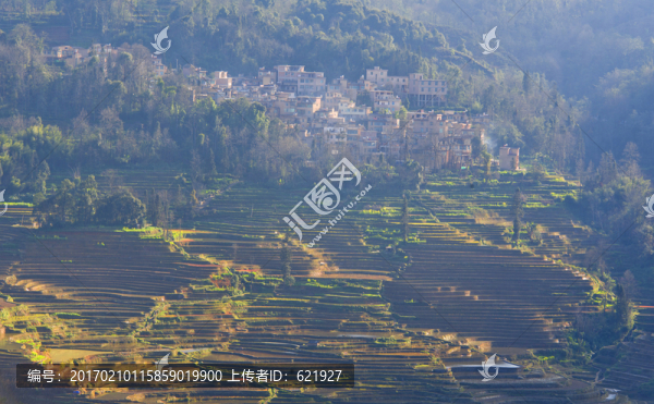 元陽梯田