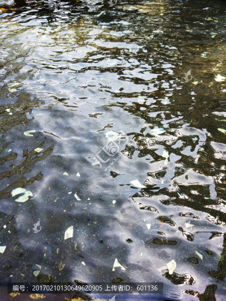 水波紋實拍特寫