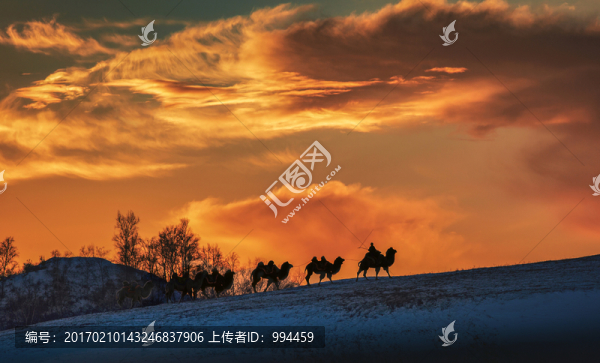 壩上風(fēng)光4
