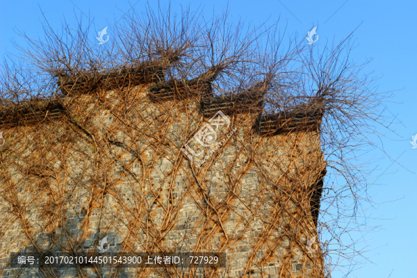 墻頭