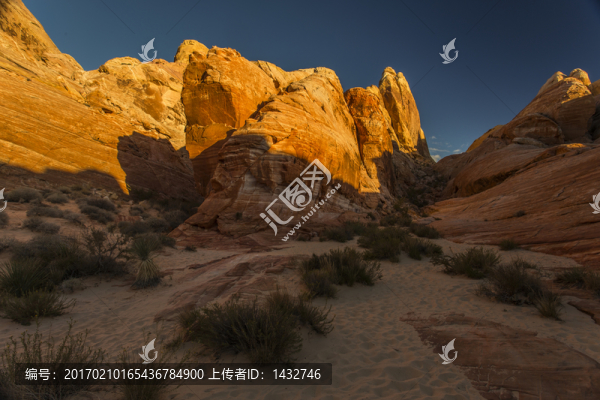 山