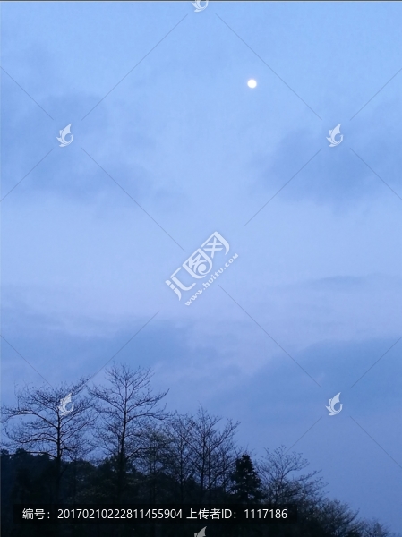 月上枝頭