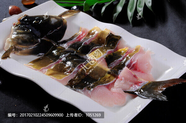 現(xiàn)殺裸斑魚(yú)片