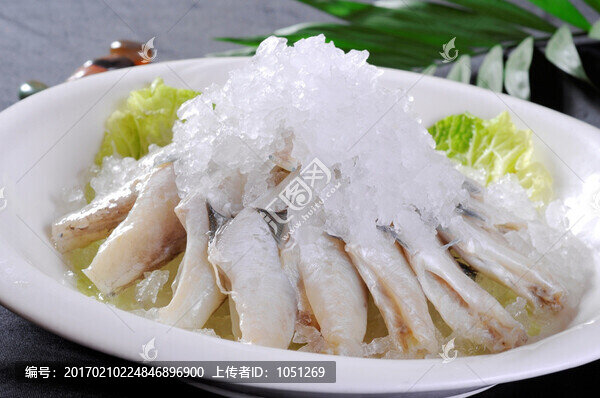 耗兒魚