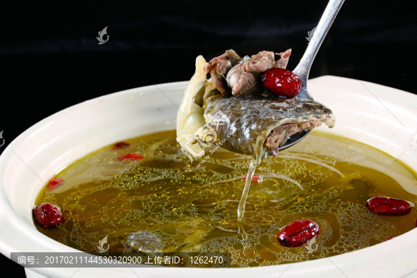 清燉甲魚