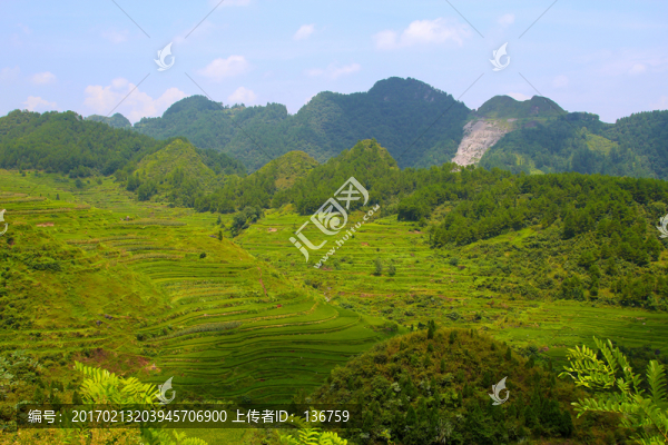 山林梯田