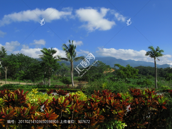五指山風(fēng)光