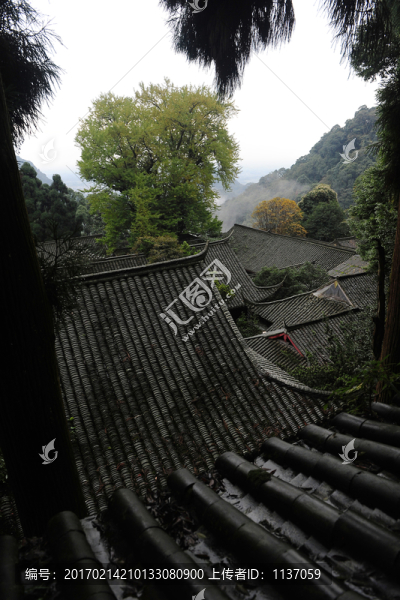 青城山,道觀