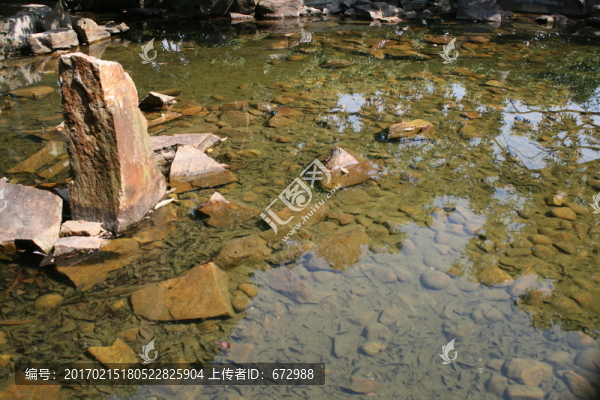 水潭,水池