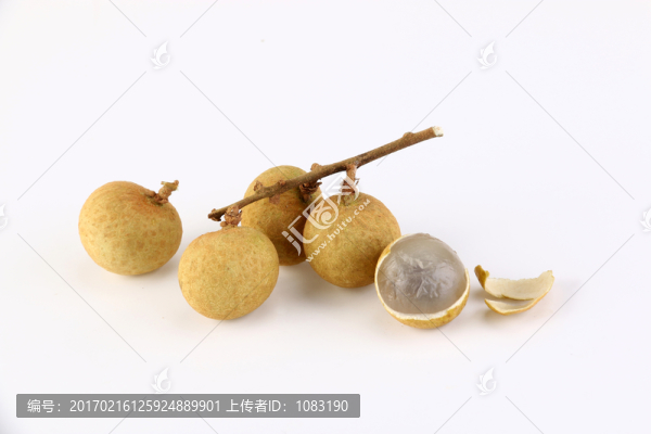 龍眼