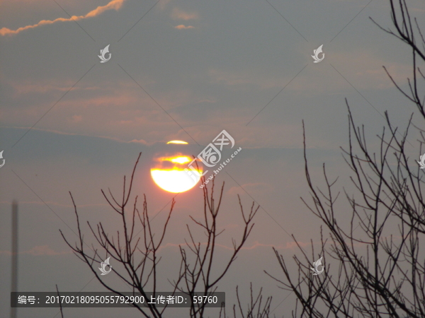 夕陽樹影
