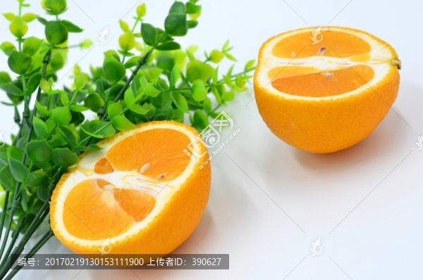 甜橘柚