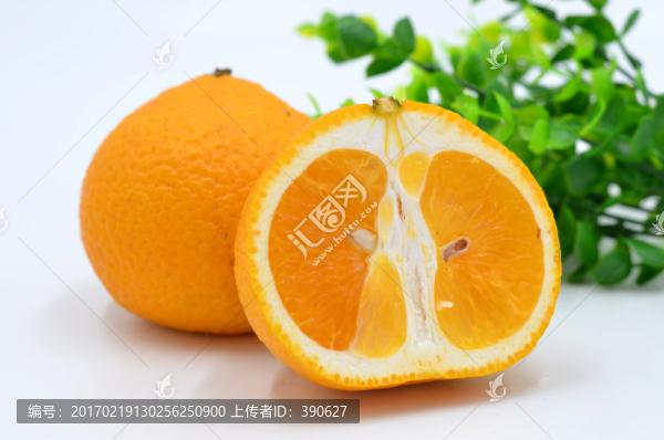 甜橘柚