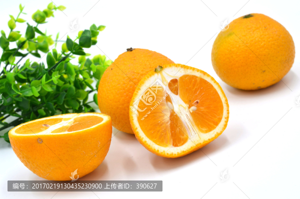 甜橘柚