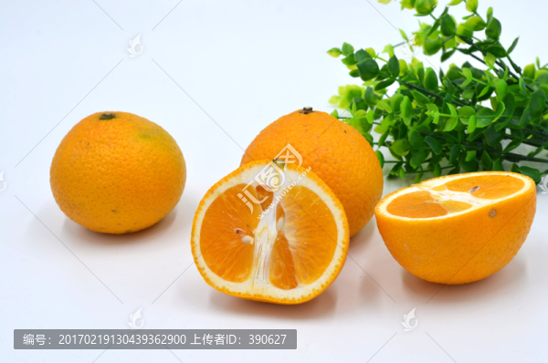 柑橘