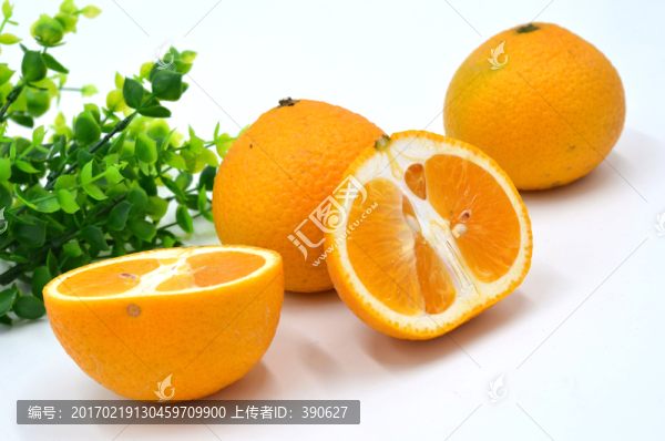 柑橘