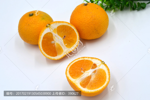 柑橘