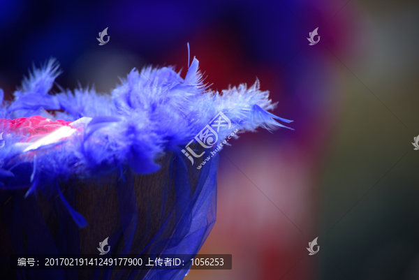 情人節(jié)