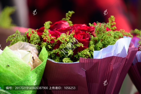 玫瑰花