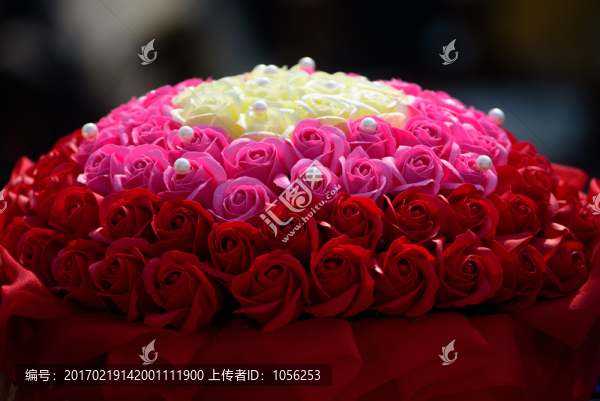 玫瑰花