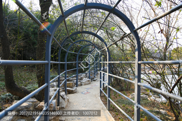 濟南植物園,（5）