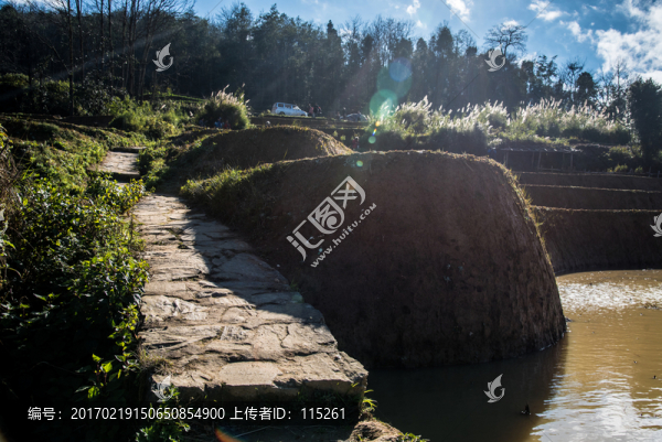 田埂水稻田