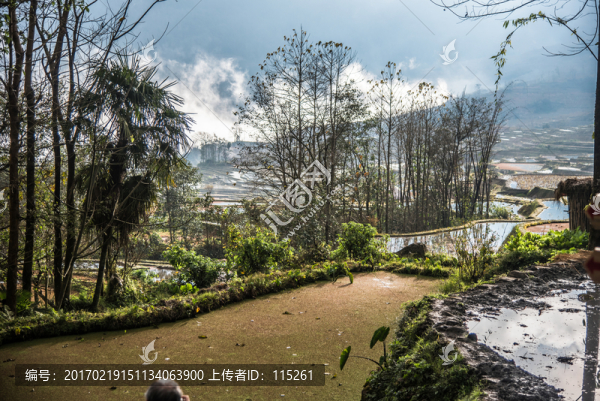 箐口水稻田田埂