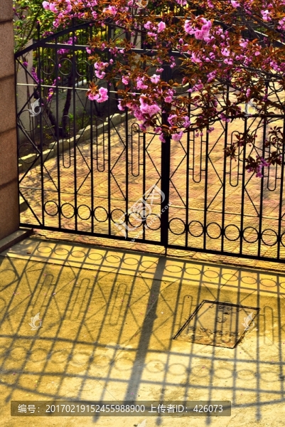 櫻花庭院