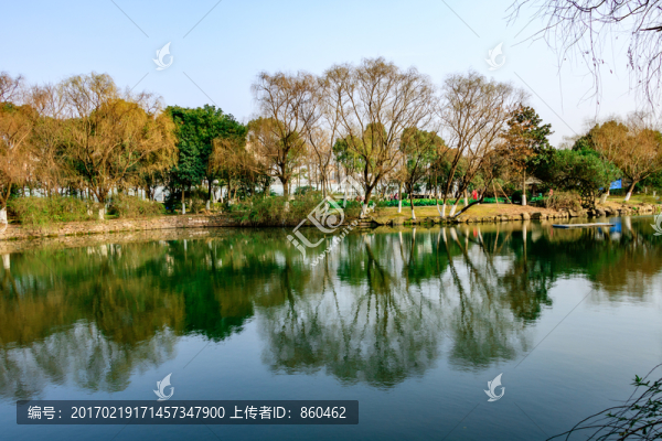 水中樹影,水中到影,樹影婆娑