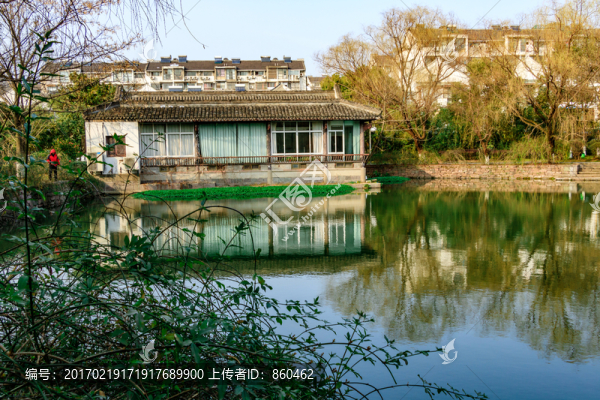 公園水中樹影,水面樹影,樹木