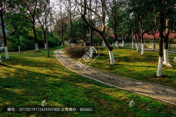 公園綠化景觀道路,自然,背景