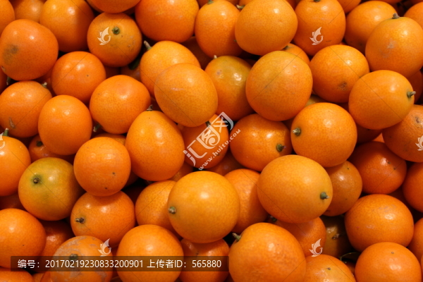 金桔