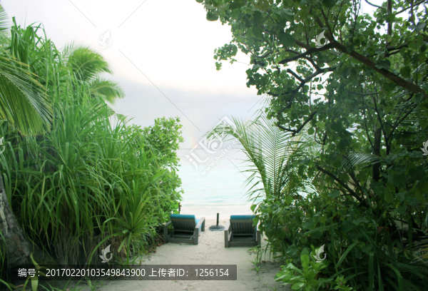 馬爾代夫海島度假看海