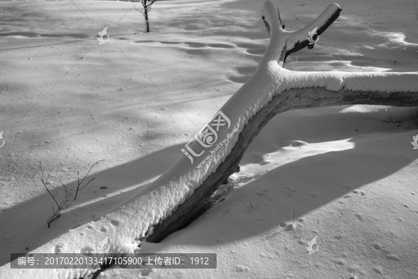 雪景
