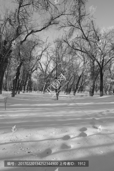 雪景