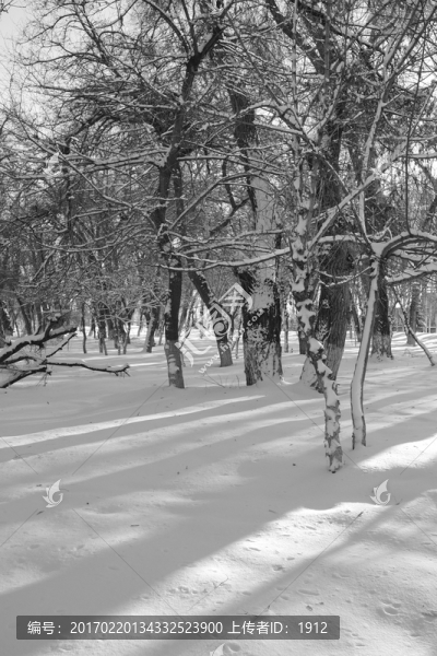 雪景