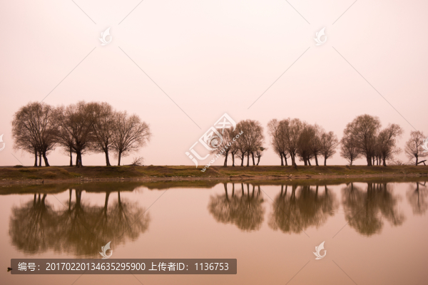 湖岸
